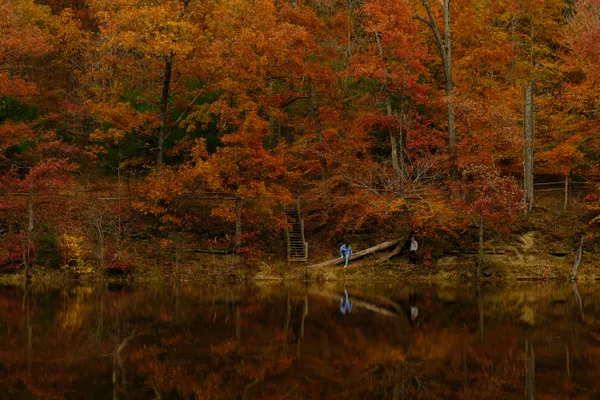 Footsteps of fall thumbnail