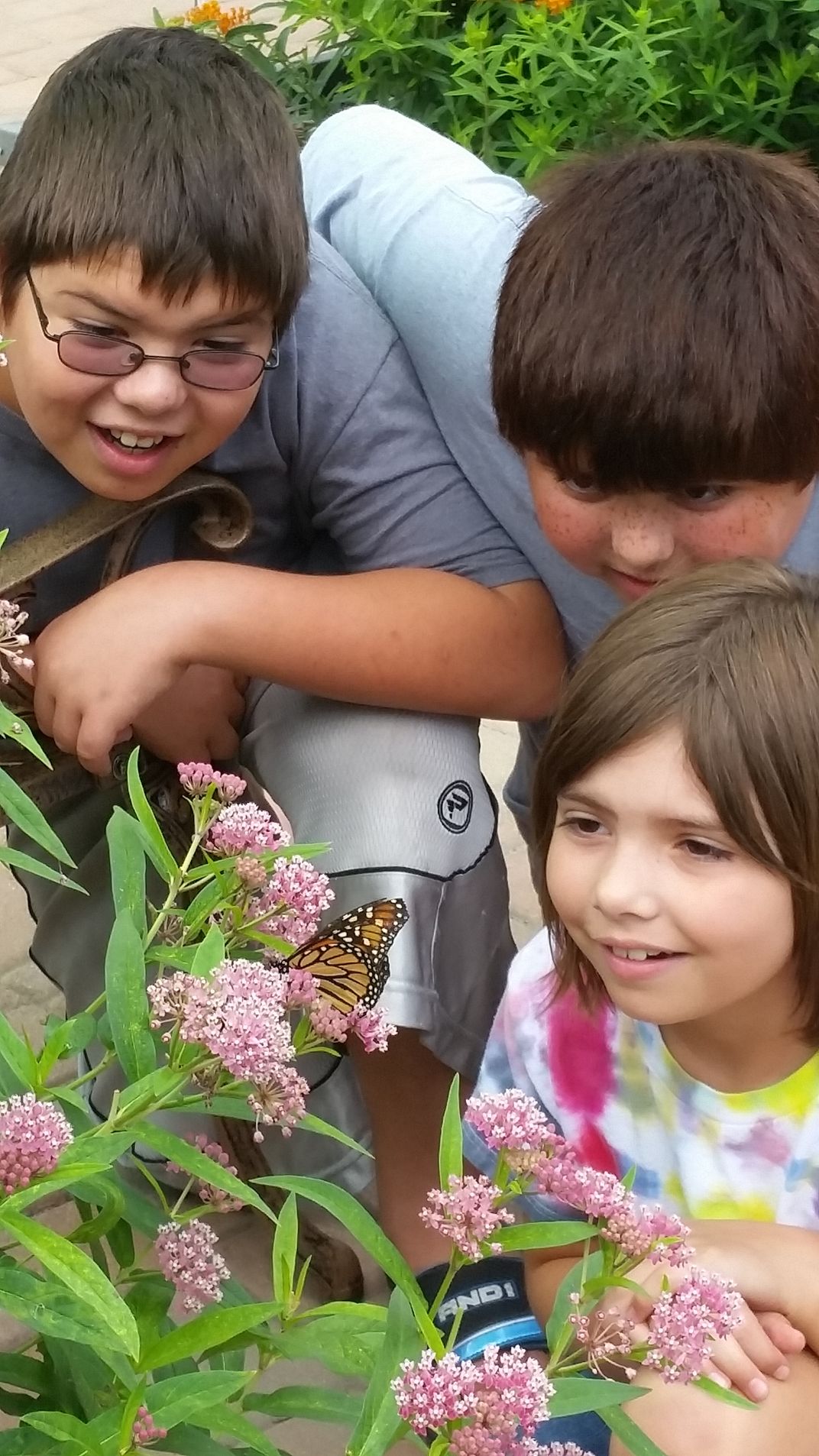 At a butterfly habitat. Smithsonian Photo Contest Smithsonian Magazine