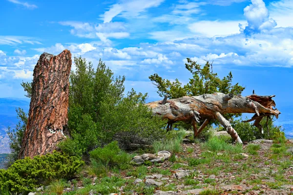 Deep Creek Canyon Overlook thumbnail