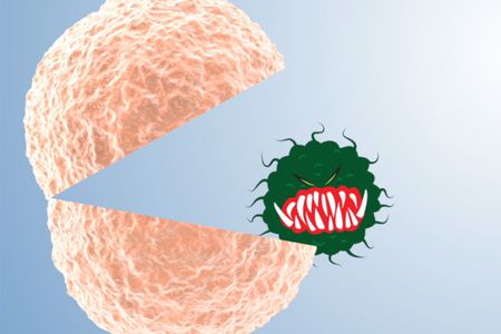 How does skin heal? You'll never look at a scab the same way again.