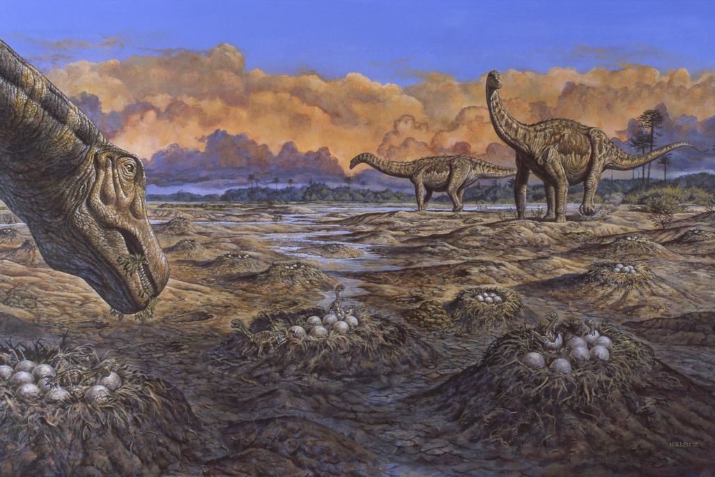 titanosaurs