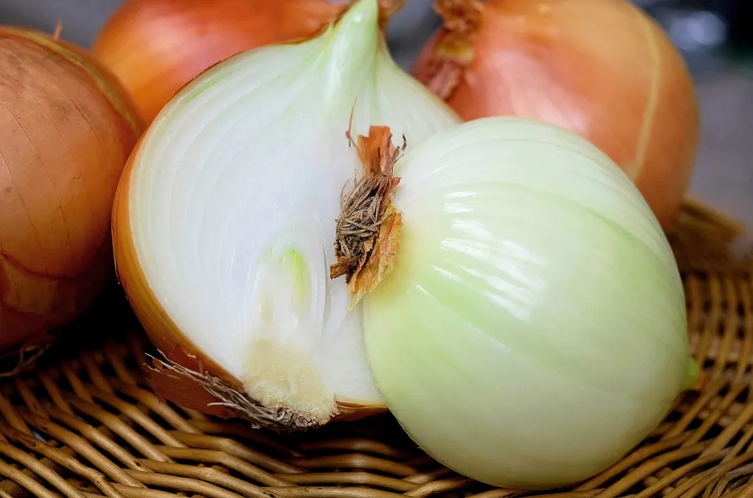 Onion cut in half