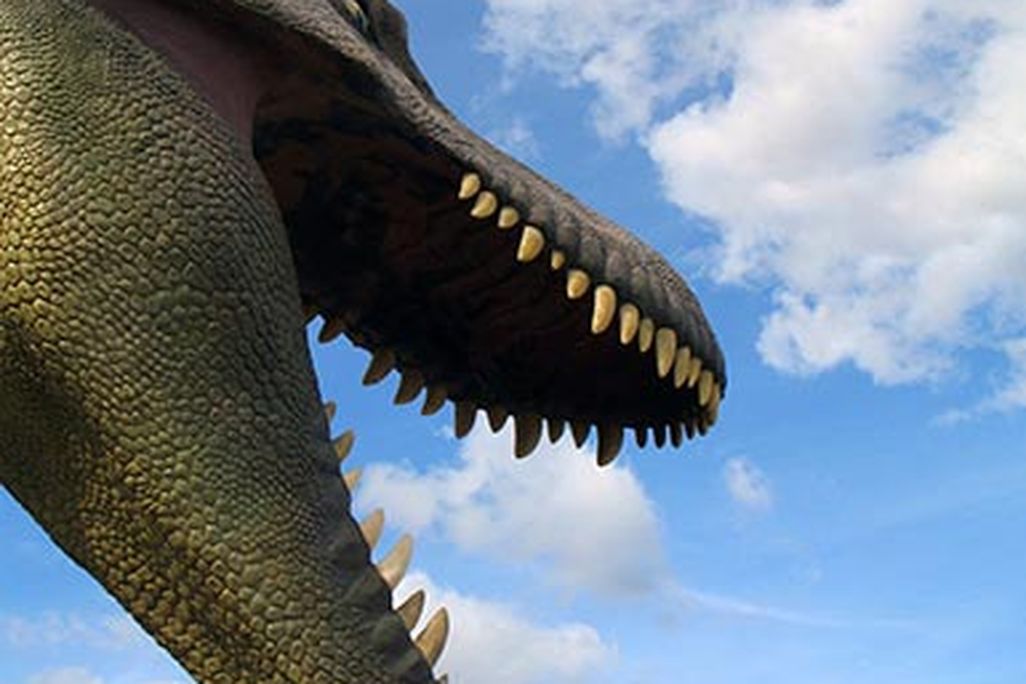 20110520083134dinosaur-head-drumheller-alberta-canada.jpg