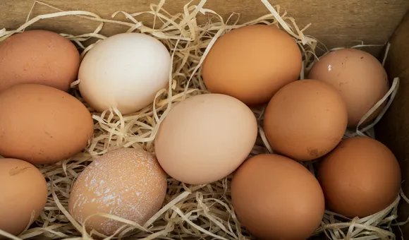 eggs nestled in straw