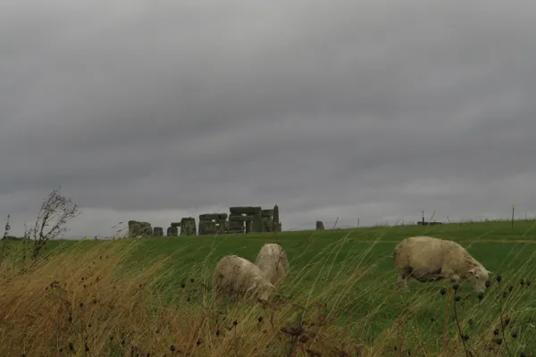 Stonehenge & Sheep thumbnail