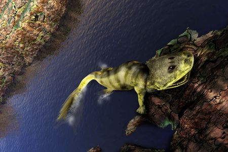 Tiktaalik roseae had fish-like fins, a flattened skull (similar to a crocodile), and is thought to have lived in shallow water, using its fins to prop itself up.