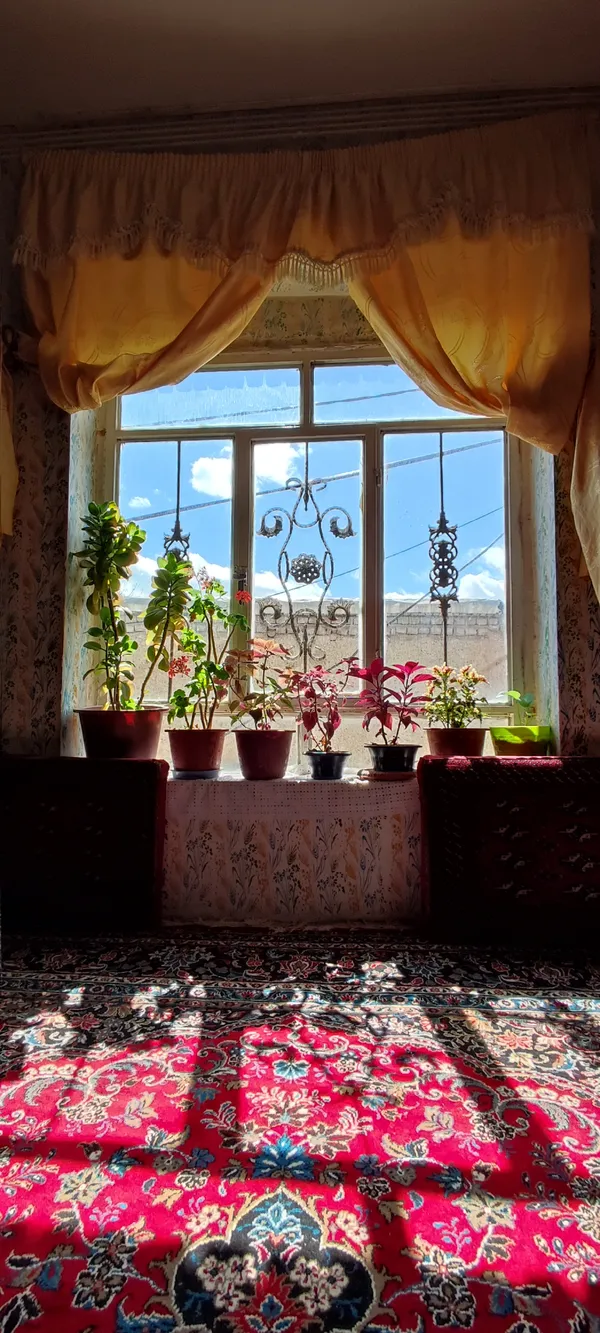 the flowers thumbnail