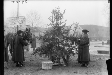 A 1918 photo of a Christmas tree for horses in Washington, D.C.