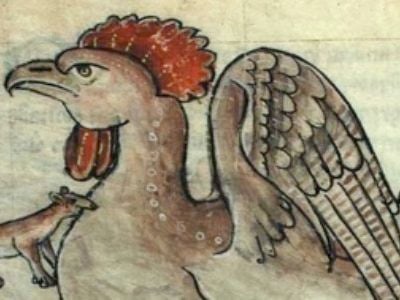 A basilisk–a lethally poisonous monster hatched from a cock’s egg–illustrated in a mediaeval bestiary. Note the weasel gnawing at its breast; only they were impervious to basilisk venom.
