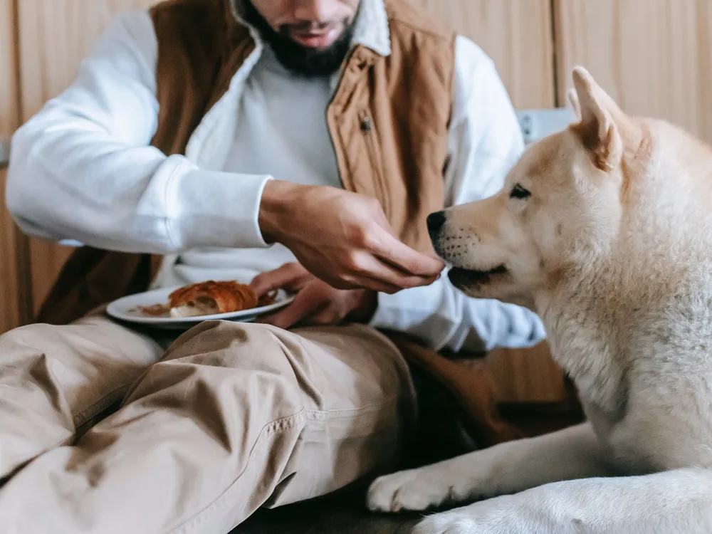 Man feeding his dog a bit of something while holding a plate