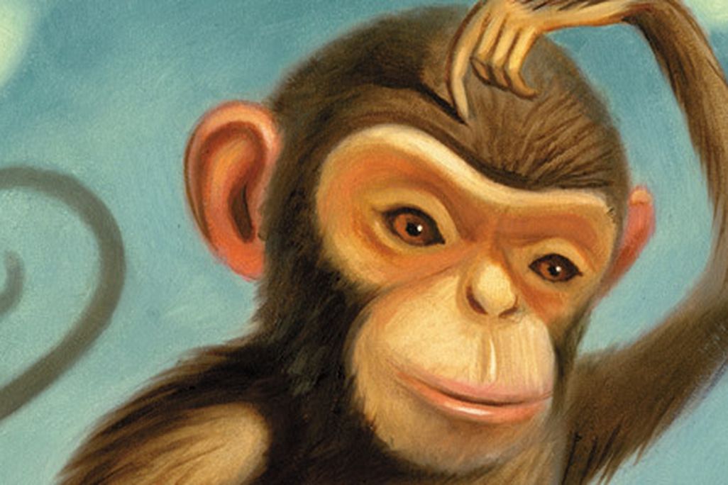 Animals, like humans, do go bald
