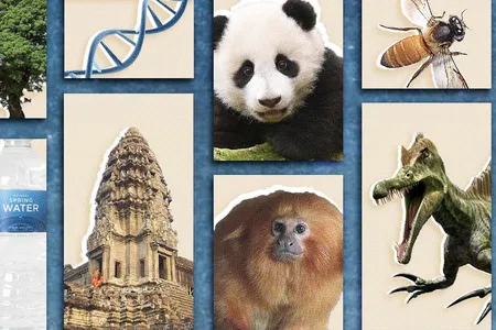 The list covers findings in biology, justice and human rights, the environment, and more.