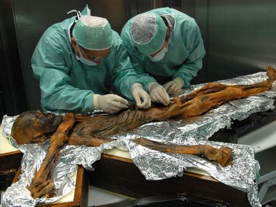 Researchers sampling the Iceman's stomach contents in 2010