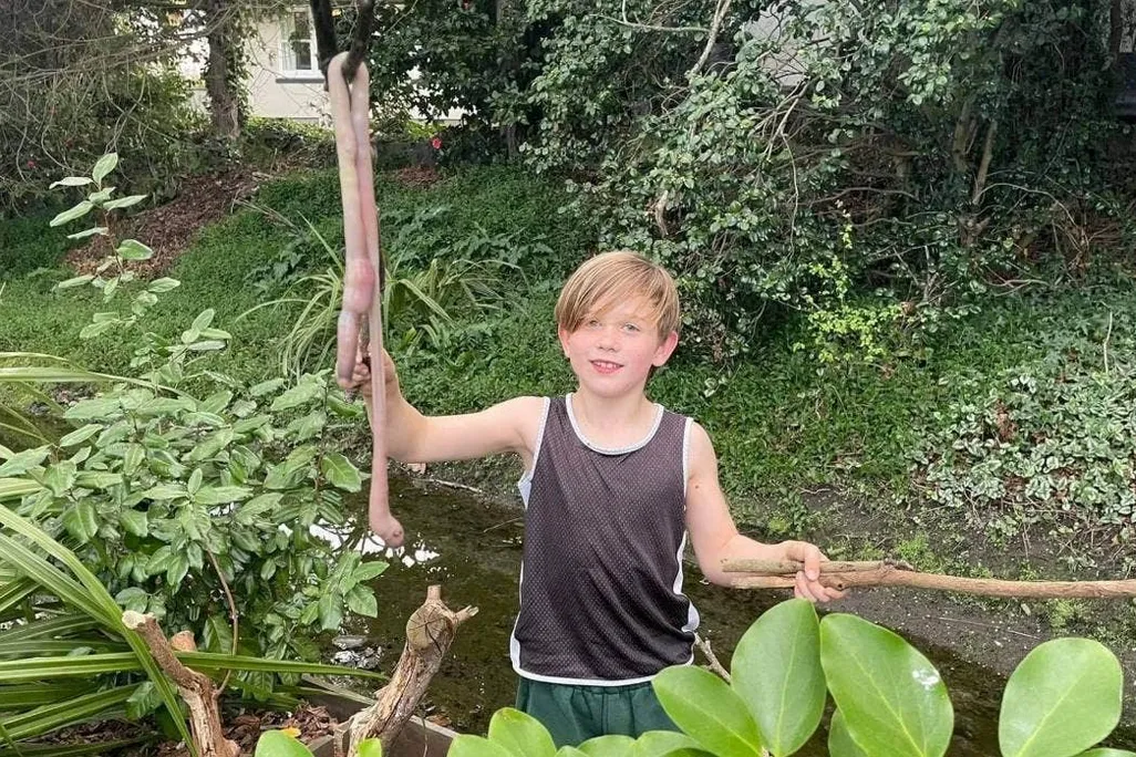 A boy holding a giant earthworm on a stick