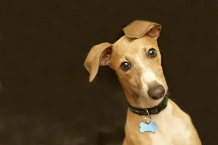 It's OK, buddy. We're here to help.