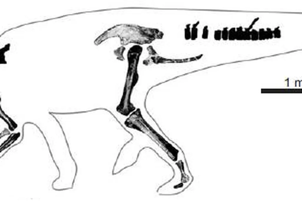 20110520083307hadrosaurus-skeleton.jpg