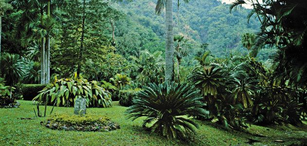 Castleton Gardens Jaimaca