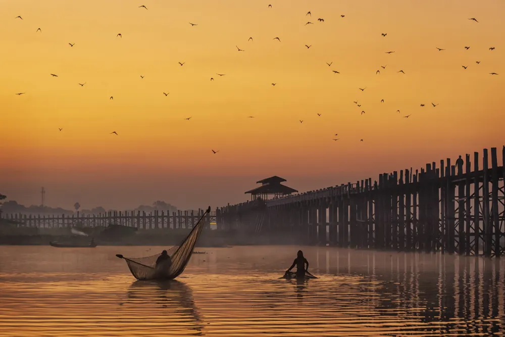 In the early morning fishermen fish near this ancient wooden bridge by using fishnet as many birds watch in awe.