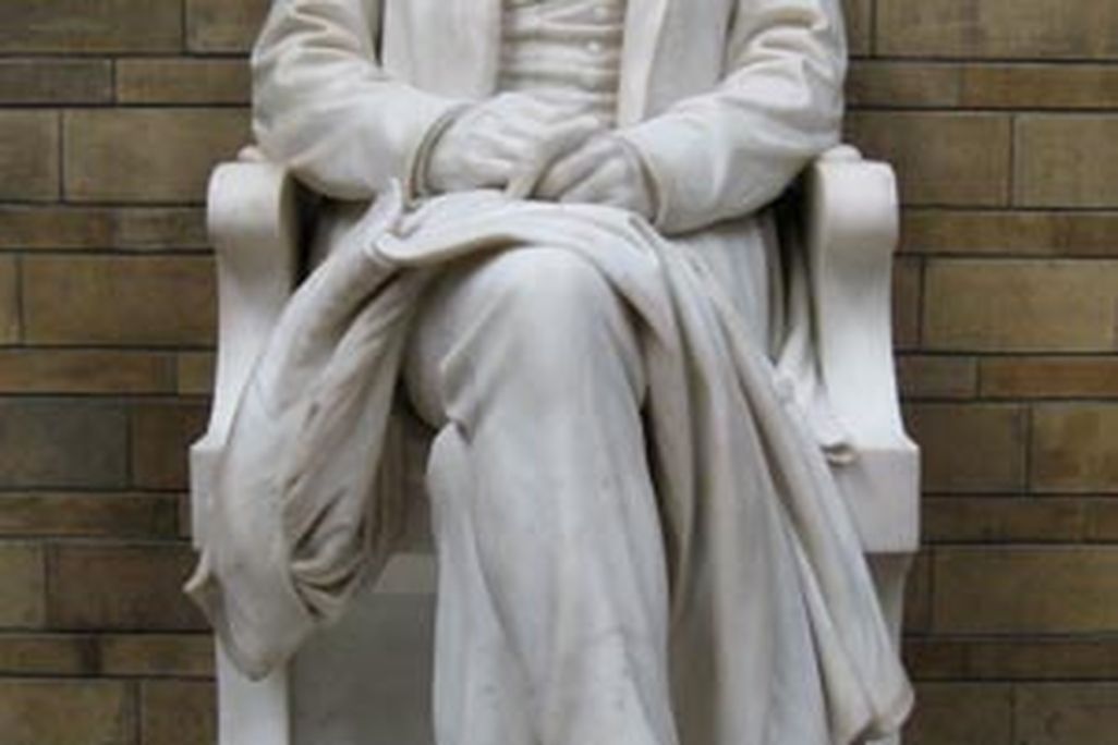 20110520102258darwinnathistLondon.jpg