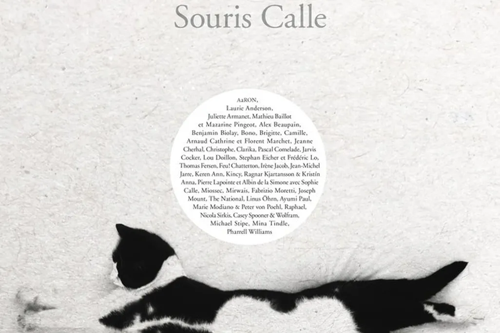 Souris Calle