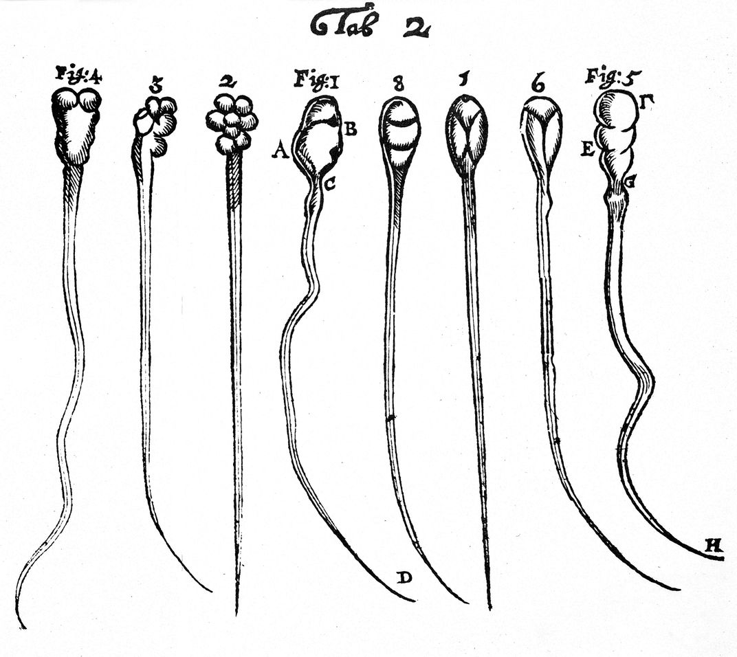 The Long, Winding Tale of Sperm Science