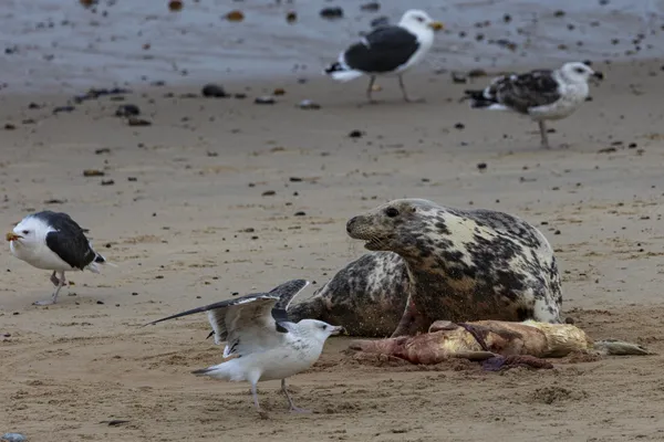 Life and death. thumbnail