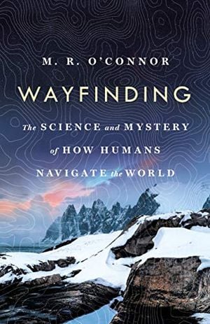 Preview thumbnail for 'Wayfinding: The Science and Mystery of How Humans Navigate the World