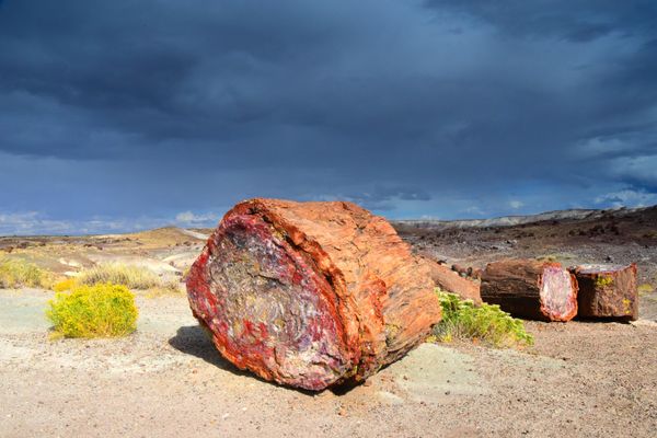 A petrified log beneath a stormy sky in Petrified Forest National Park. thumbnail