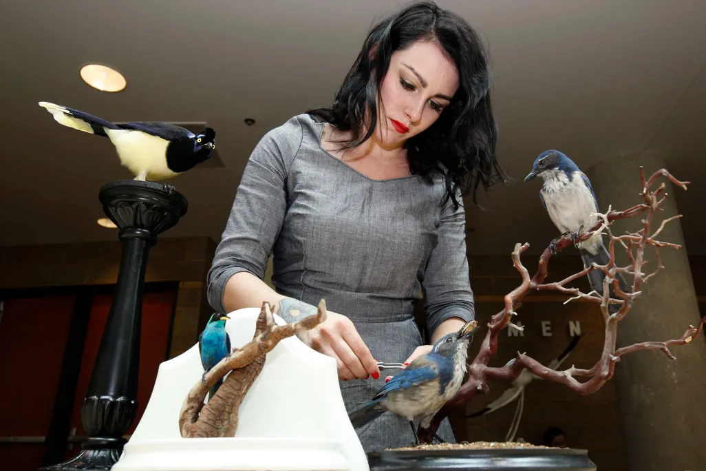 Taxidermy-65718.jpg