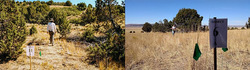 This Mapping Tool Could Help Wilderness Firefighters Plan Escape Routes