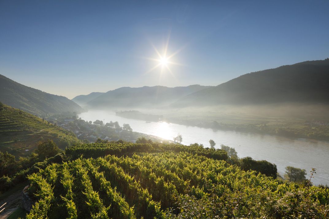 Wachau Valley Vineyards