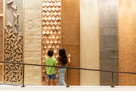 Wall panels allow children to explore different patterns and varieties of wood.