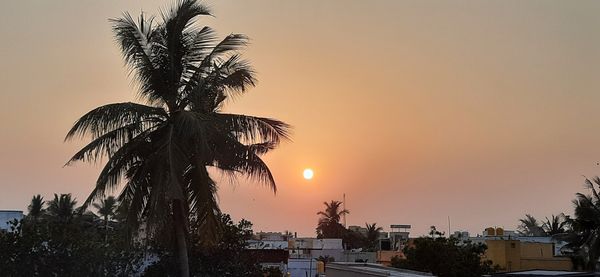 Sunset near coconut tree thumbnail