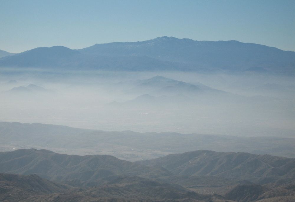 Joshua Tree Haze