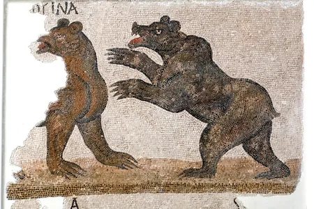 A roman mosaic shows a fighting North African Atlas bear.