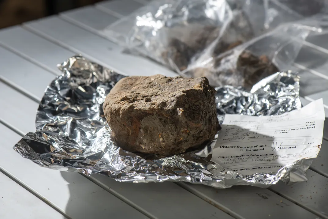Mammoth Fossil