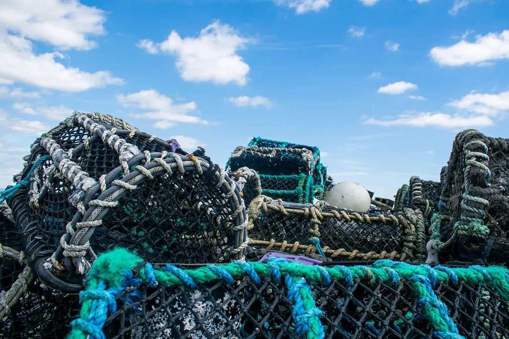 Crab Traps