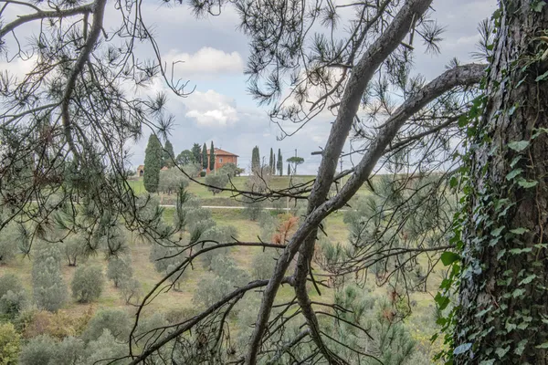 Tuscany landscape 01 thumbnail