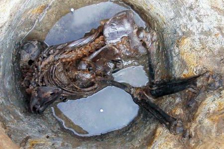 A Bronze Age mummified skeleton lies tightly curled in Bradley Fen in Cambridgeshire, England.
