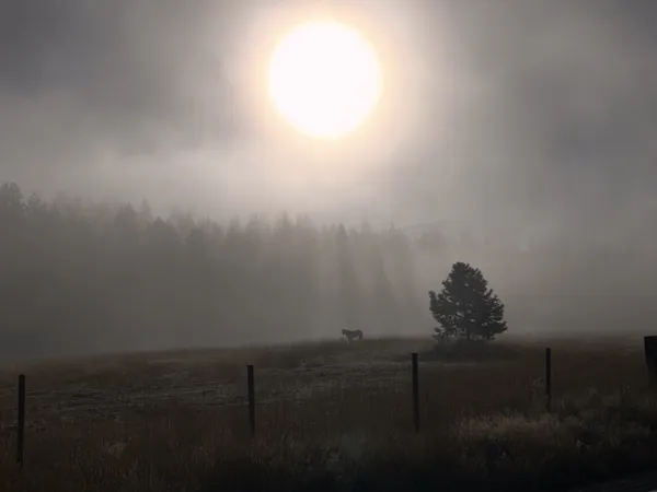 October Morning thumbnail