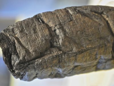 A charred fragment of one of the Herculaneum Scrolls.