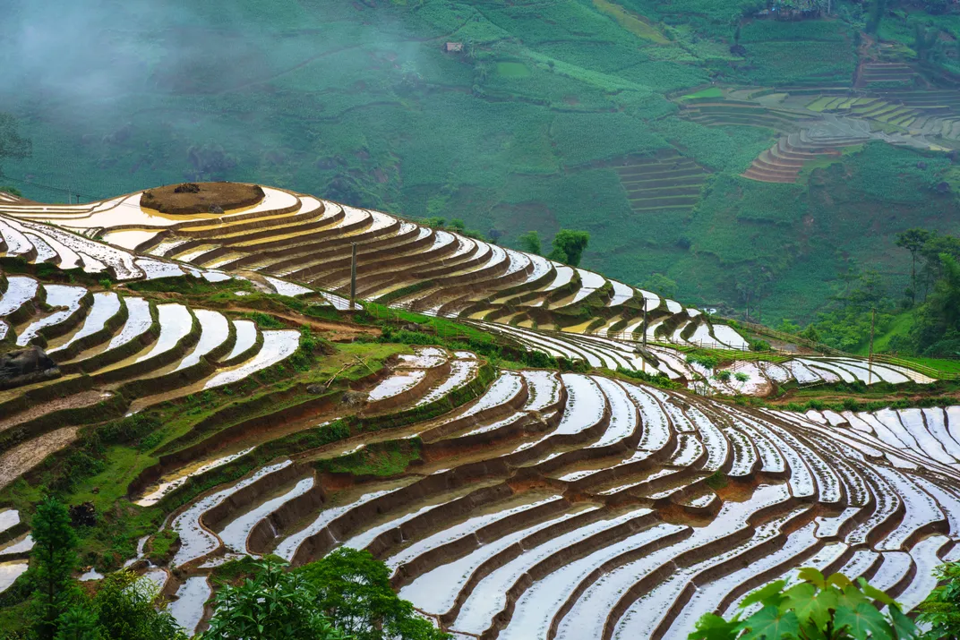 Terraced paddies near Lao Chai in Sapa, Vietnam