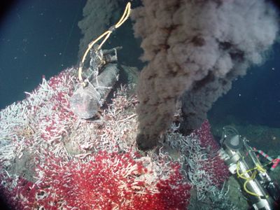 Sully Vent in the Main Endeavour Vent Field in the northeast Pacific, similar to the environment LUCA would have lived