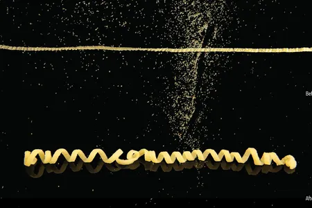 Researchers created a new pasta shaping technique that allowed this noodle to transform from a straight to curlicue after seven minutes in boiling water.