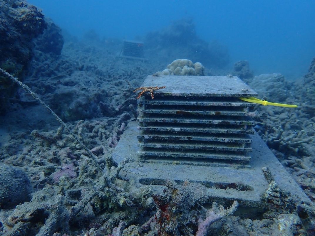 PVC stack on the ocean floor