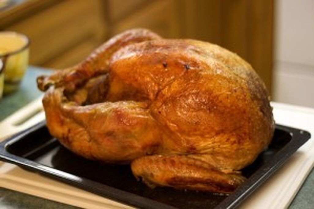 20110520083157thanksgiving-turkey-image-300x199.jpg