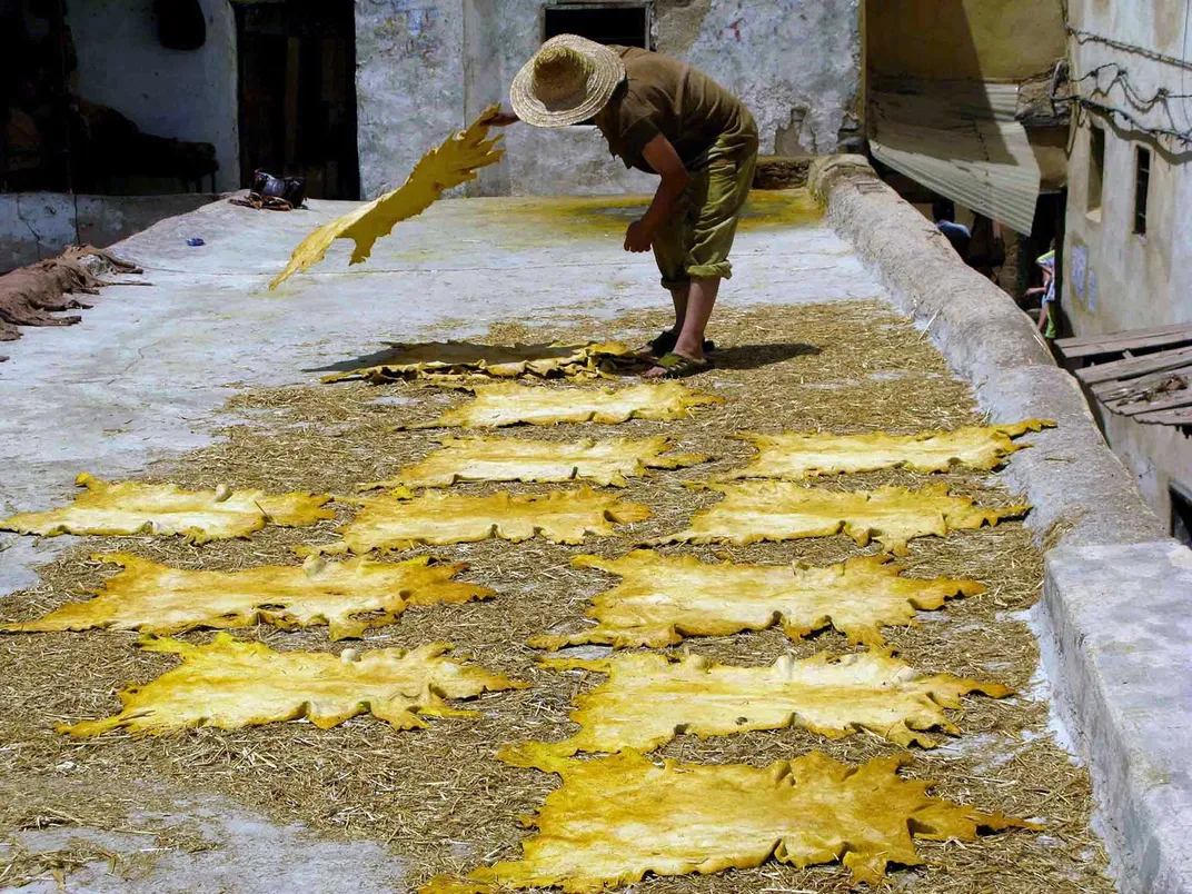 Animal Skins Drying