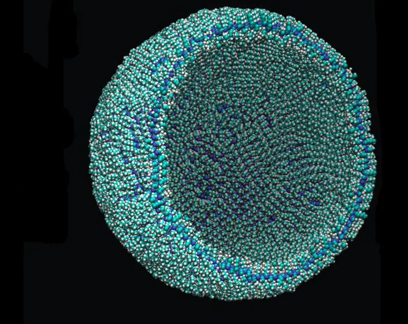 azotosome.jpg