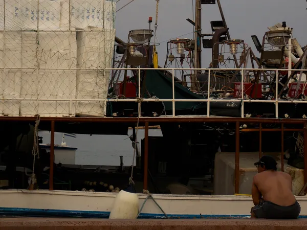 Harbor Pause thumbnail