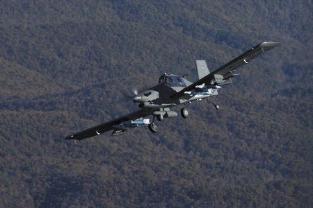 Iomax’s Archangel is derived from the Ayers Thrush, a cropduster.